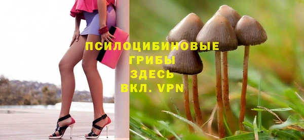 гашик Богданович