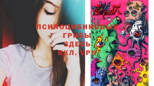 гашик Богданович