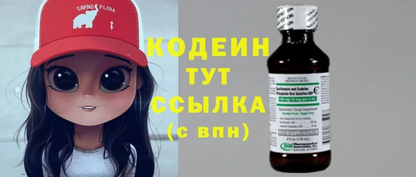 дурь Пересвет