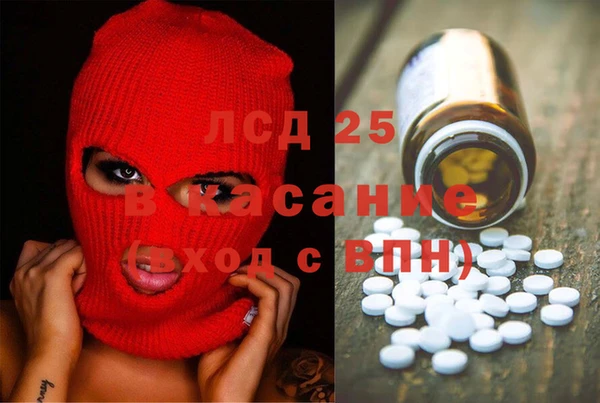 гашик Богданович