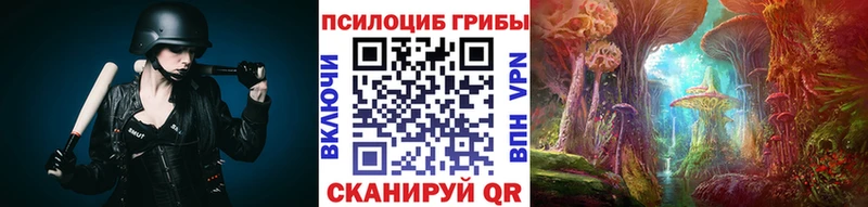 цены наркотик  Дмитровск  Псилоцибиновые грибы мухоморы 