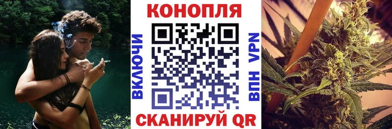 где найти наркотики  Дмитровск  Марихуана ГИДРОПОН 